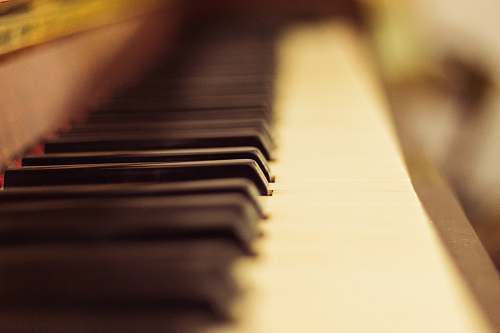 leisure activities close up photography of piano musical instrument